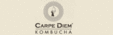 Logo Carpe Diem GmbH & Co KG