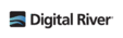Logo Digital River Online Games - fatfoogoo GmbH