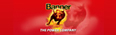 Logo Banner Batterien Österreich GmbH