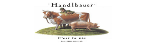 Logo Ameco HandelsgesmbH