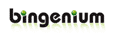 Logo Bingenium AG & Co KG
